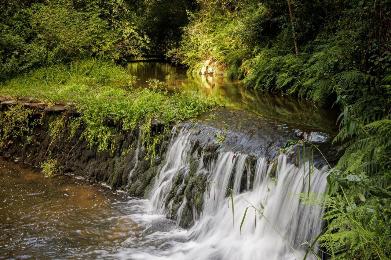 Be&See In River Ovar Buitenkant foto